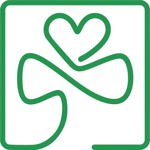 Frieda Gl&uuml;cksmann Oberschule cover art