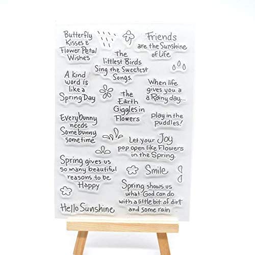 Lot De 2 Tampons Abrasifs 250x120x25mm Pour Platoir SIDAMO 11200193