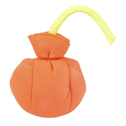 Color WaryCg{[AQ[Jt`[NpE_[{[AȒPAƑ̖OAz[[tFXeBoAyAʐ^BeɁB