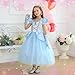 Luzlen Cinderella Costume for Girls Kids Blue Princess Dress with Accessories Halloween Birthday Party Outfits, 3-4T(Tag 110)