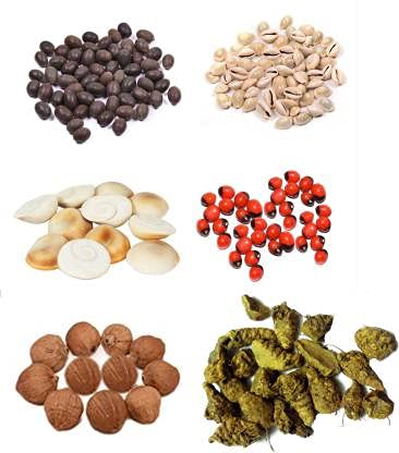 Diwali Pooja Kaudi, Kamal Gatta, Gunja, Gomti Chakra, Laghu Nariyal, Haldi Gaath- 11 pc Each Stoneware Yantra (Pack of 66)