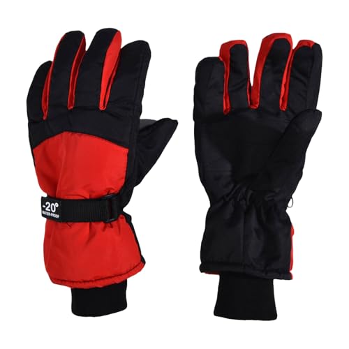 XL[O[u n LbY hۉ j̎q ̎q XL[  Ɍ ~ WjA H g ϖՐ hf ₷ GΉ h 5{w^Cv ʊw Ⴉ V ] AEghA(,19)