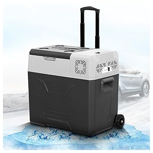 XIAOLIN Bilkylskåp Portabel Frys 30l 12 / 24v Dc Och 220v Ac, Kompressor Kylskåp För Bil, Rv, Lastbil, Van, Camping Och Hem