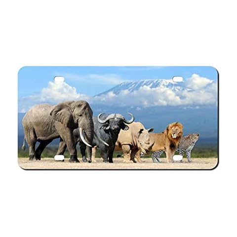 Heavy Duty License Plate Decorative Front License Plate Cover 6X12 in Durable Aluminum License Plate,Big Five Africa Gray Cover