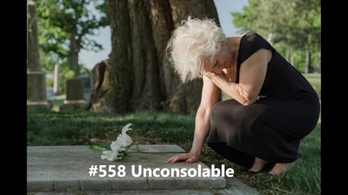 #558 Unconsolable