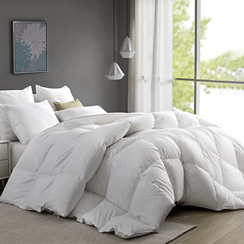 Homelab Premium Goose Feathers Down Comforter Full/Queen Size All Season Luxurious Duvet Insert, Ultra Soft 750 Fill-Power Hotel Quality Medium Weight Warmth Comforter With Corner Tabs(90X90, White) #TOP18