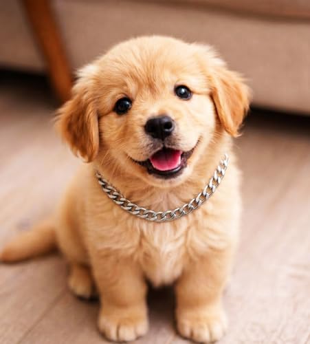 Image of Heavy Duty Choke Swivel Metal Dog Chain - Durable Training Collar with Strong Links & 360 Swivel for Medium & Large Dogs (Width 2.5 MM - Length -19.INCH)