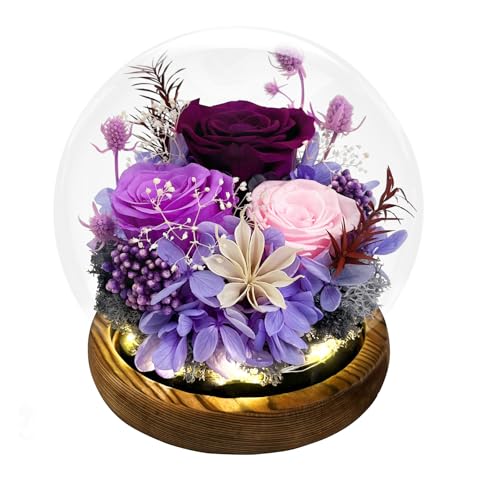 FIACO Gifts for Mom Women Birthday Preserved Flowers in Glass Dome Forever Fresh Flowers for...