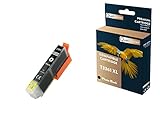  QUALITONER - 1 Cartouche Compatible pour EPSON T3361 XL T3361XL Photo Black (Orange) pour Epson Expression Premium XP-530 XP-540 XP-630 XP-635 XP-640