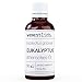 Produktbild wesentlich. Eukalyptusöl - ätherisches Öl - 100% naturrein (Glasflasche) - u.a. für Duftlampe und Diffuser (50ml)