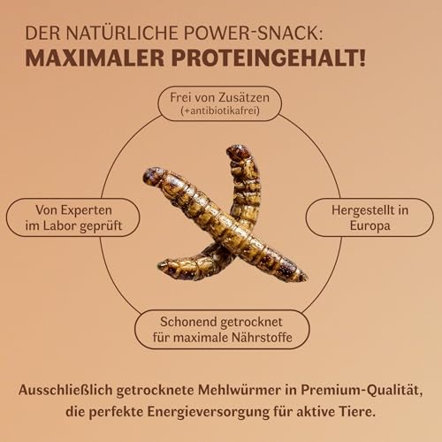 EntoZoo - Getrocknete Schwarze Soldatenfliegenlarven - Insektenfutter für Vögel, Hühner, Igel, Reptilien & Fische | ähnlich wie Mehlwürmer getrocknet| Hühnerfutter, Vogelfutter, Igelfutter - 1KG