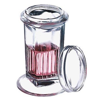 Wheaton Glass Coplin Staining Jar with Glass Cover