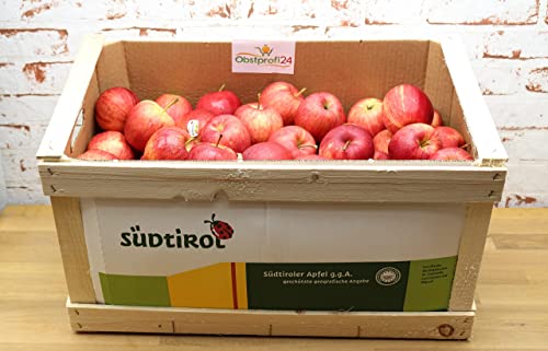 Äpfel Süd Tirol Royal Gala Aktuell Ernte - frische Apfel Holz Kiste 15 Kg