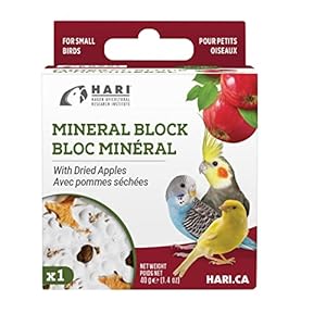 Mineral Block for Birds with Dried Apples, Calcium Supplement Bird Treat