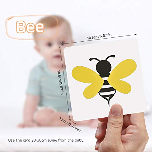 Oalyip Flash Cards per Bambini, 96 Pezzi Carta