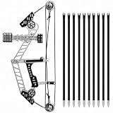 Archery Set Stainless Steel Compound Bow with 10 Arrows...