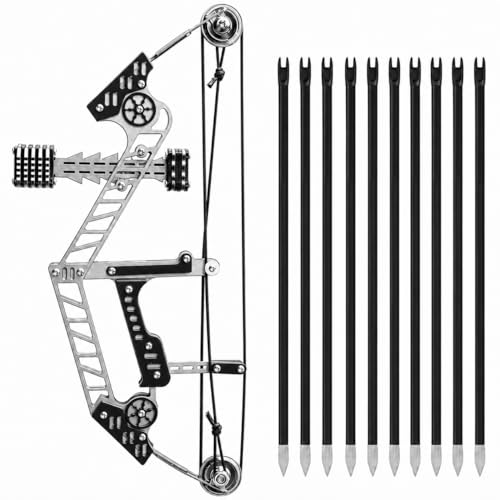 Archery Set Stainless Steel Compound Bow with 10 Arrows Metal Frame Pulley Bow Black Grip Plates for Target Training and Professional Practice (Black)