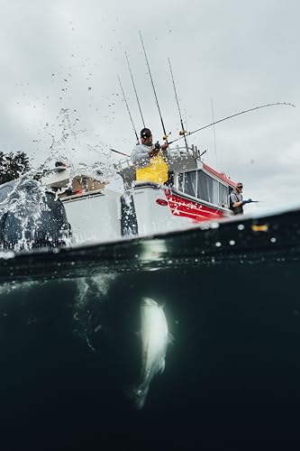 Image of PENN Rival Level Wind Conventional Fishing Reel