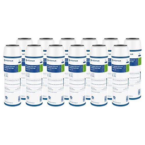 Image of Pentair Pentek GAC-10 10 inch x 2.5 inch Carbon Water Filter, Pack of 12