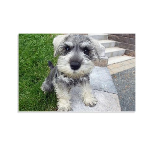 Impression artistique Schnauzer poster haut de gamme déco 40 x 60 cm