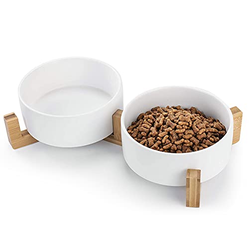 Dog Bowl | Food Water Dish for Dogs and Cats, Ceramic Pet Bowl for Food & Water (White-White),Medium