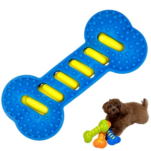 ܂鏤X Kځ[ XgX ^s    ߋ ʂ C o v[g Mtg ^ (u[)