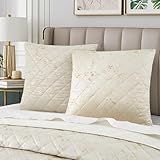 Querencia Set of 2 Metallic Gold Foil Printed Velvet Euro Sham Covers 26 x 26 - Off White Euro Pillow Shams Square, 26x26 Bed Pillow Covers, European Shams (Ivory and Soft Gold)