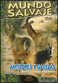 Mundo Salvaje Dvd Antilopes y Gacelas