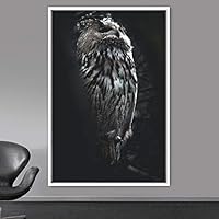 Framed Canvas Wall Art Owl Birds Dramatic Farmhouse/Country Home Office Multicolor Owl Photography - 16x24 inches