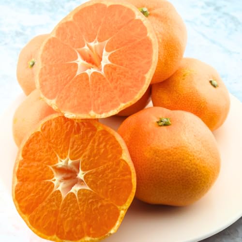 Lc݂ 3kg a̎RY ԏG s p