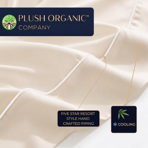Image of Queen Luxury 4 Piece Bedsheet Set, Ivory with White Piping, Cooling Resort Bedding, Ultra Soft, Viscose derived from Bamboo, Organically Grown, 300 Thread Count