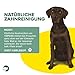 Topdog Kauknochen Hund 25 Stück 12 cm - Rinderhautknochen für Hunde aus 100% Rind - Hundekauknochen - Pflegt die Zähne und unterstützt den natürlichen Kautrieb Ihres Hundes