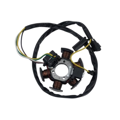 Bobine de stator 50 AM6 à haute conductivité TZR 50