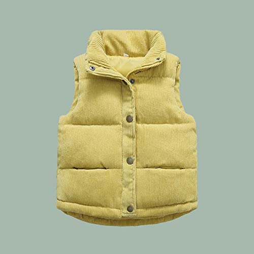 Toddler Boys Girls Fleece Vest Stand Collar Button Sleeveless Thicken Coat Winter Warm Solid Cute Outerwear2
