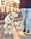 UYRVAPE 6pcs Silberne Glöckchen Schellen - Glöckchen Silber Hundeglocke Jagd Silber Jingle Bells Glöckchen Hundeglocken Schlüsselringe Metallglöckchen Glocke Hund für Hunde Halsband Dekor