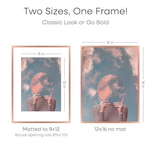 Image of Homeforia 12x16 Rose Picture Frame, High-End Metal, 9x12 Mat, Glass | High End Aluminum, Tempered Glass, Acid-Free 9x12 Removable Mat, 12x16 in Edge-to-Edge Display 16x12, Wall Kit, Set Of 1