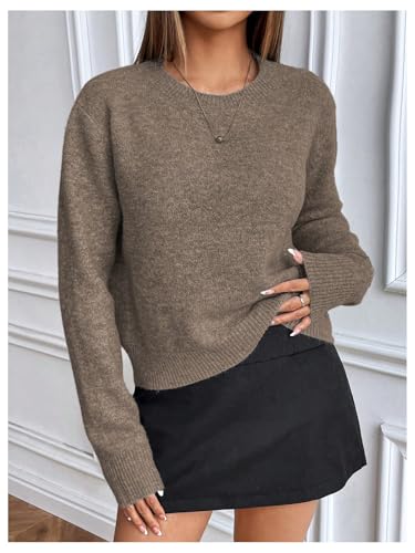 WDIRARA Women's Crew Neck Long Sleeve Sweater Pullover Knit Top Solid Color Casual Knitwear2
