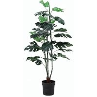 Amazon｜不二貿易 フェイクグリーン インテリアグリーン 人工観葉植物