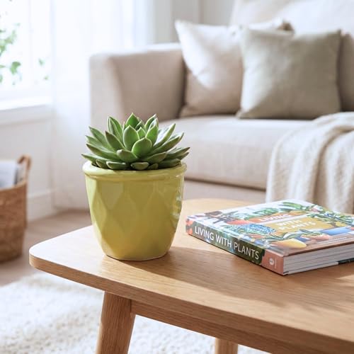 Image of ecofynd 4 Inch Ceramic Plant Pots with Drainage Hole, Modern Decorative Clay Flower Pots for Indoor Plants, Home Garden Decor for Living Room, Bedroom & Interior Spaces (CPOT043-LGN)
