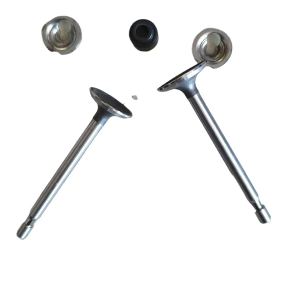 Pljyocdo One Color Engine Intake And Valves Fit For 6Hp 65Hp 795443 499642