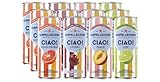 San Pellegrino Ciao 4 Flavor Variety- 3 of Each Flavor- 12 Pack