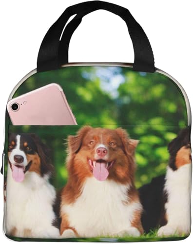 OC̃I[XgAEVFp[h ۗ⃉`obO ٓ 킢 e ܂ y RpNg fMA~V[g |Pbgt g[gobN