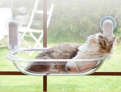 jshigogo L nbN  xbh FD zՎ LnbN |  nbN tȒP lGp  lRp 􂦂 Lbg ˂ p  ^ xe XgX gȒP (nbN^Cv)