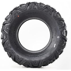 41gwjfatmql. sl500 . ss300
