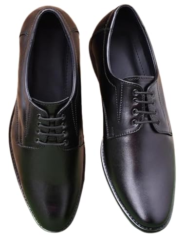 Derby Formal Shoes Pure Leather Comfort Dailywear Shoes for Men Black