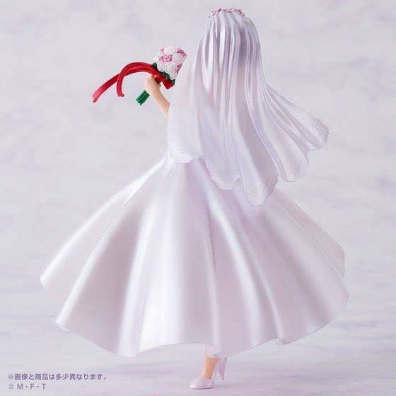【2個セット】HG ねこ娘 ウェディングVer / GLITTER フィギュア Amazon.co.jp: 【プレバン限定】HG GIRLS ねこ娘（ウェディング
