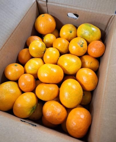 y_zk F{ ̑B݂ 5kgy①z