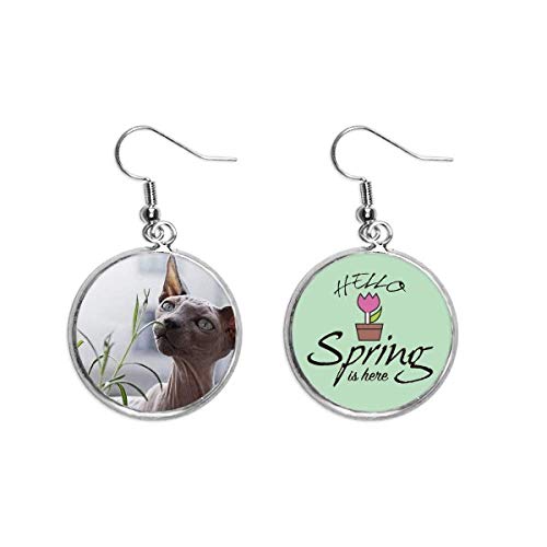 Pendientes de gato gris delgado en plata para primavera y fotografia