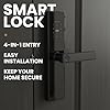 Stilaris Slim Smart Lock with Handle 4-in-1 Biometric Fingerprint Door Lock, Thin Profile Mortise-Style Keyless Entry for Home, Office & Patio Doors, Waterproof Electronic Keypad & IC Card Access