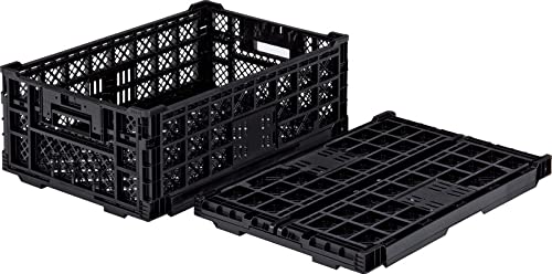 Amazon | オリコンEP42A-B ブラック 【2個セット】 556120 サンコー Amazon | オリコンEP42A-B ブラック 【2個セット】 556120 サンコー
